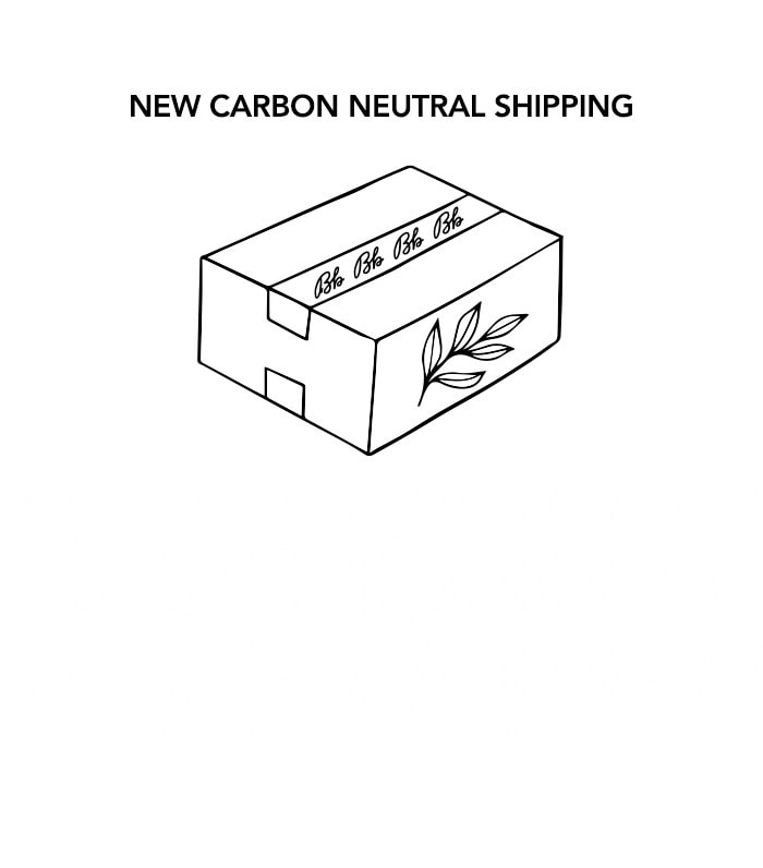 Carbon Neutral Shipping Icon